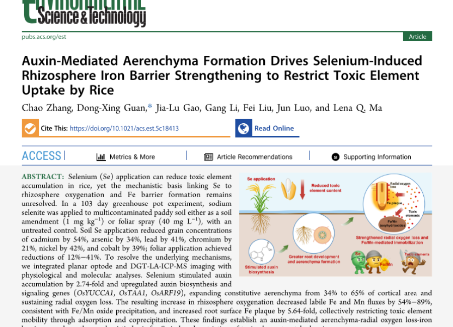[EST] DGT In Situ Imaging Reveals Selenium-Strengthened Rhizosphere Iron Barrier Mechanism in Rice: GenesisBIO Femtosecond Laser Ablation Technology Enables Multi-Element Two-Dimensional Visualization